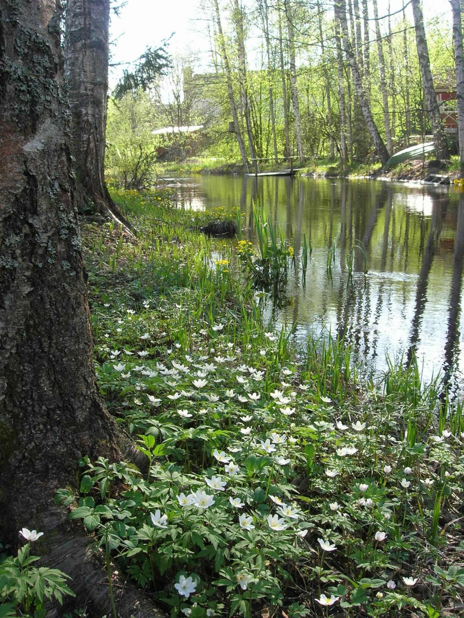 Portaan Nahkurinverstas Porras Buitenkant foto